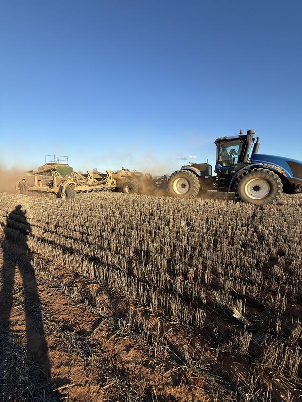 NDF Disc Planter 2026 12m 250mm SA750.